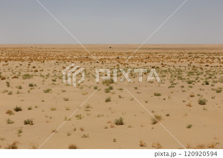 Arid desert landscape in Jowzjan Province, Afghanistan, featuring sparse vegetation Arid desert landscape in Jowzjan Province, Afghanistan, featuring sparse vegetation 120920594
