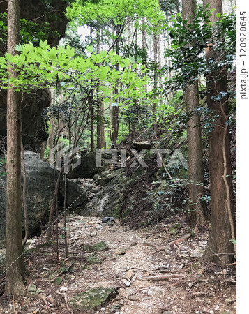 どこまでも続きそうな登山の入り口 どこまでも続きそうな登山の入り口 120920645