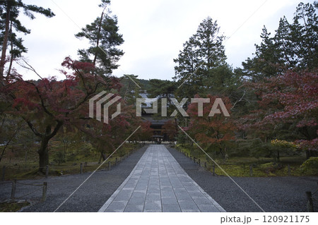 南禅寺 参道から望む色づき始めた木々と法堂1 南禅寺 参道から望む色づき始めた木々と法堂1 120921175