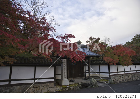 南禅寺　天授庵の真っ赤なモミジ5 120921271