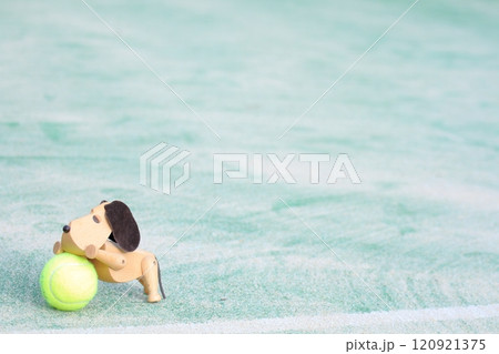 テニスボールで遊ぶ犬 120921375