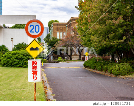規制標識 323「最高速度」・警戒標識 209の3「路面凹凸あり」・法定外看板「段差有り」 規制標識 323「最高速度」・警戒標識 209の3「路面凹凸あり」・法定外看板「段差有り」 120921721