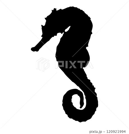 Sea Horse. Black isolated silhouette of a sea animal on a white background. Vector clipart illustration. Sea Horse. Black isolated silhouette of a sea animal on a white background. Vector clipart illustration. 120921994