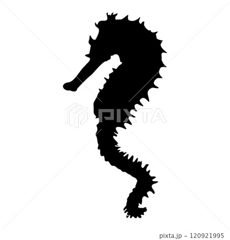 Sea Horse. Black isolated silhouette of a sea animal on a white background. Vector clipart illustration. 120921995