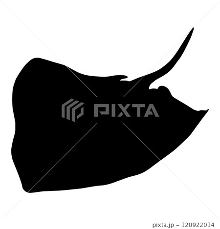 Stingray (sea ocean). Isolated black silhouette. Side up. Marine animal. White background. Vector illustration clipart. Scat manta ray. Stingray (sea ocean). Isolated black silhouette. Side up. Marine animal. White background. Vector illustration clipart. Scat manta ray. 120922014