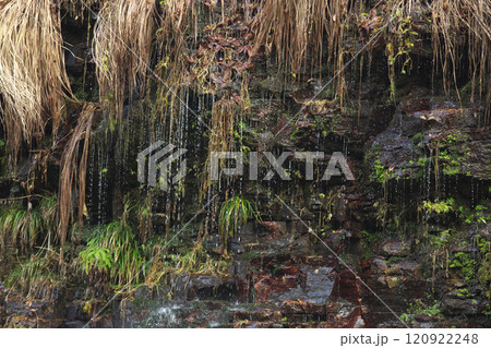 大噴湯の風景241207_107 大噴湯の風景241207_107 120922248