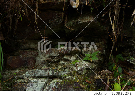 大噴湯の風景241207_007 120922272