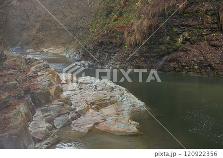 大噴湯の風景241207_091 大噴湯の風景241207_091 120922356