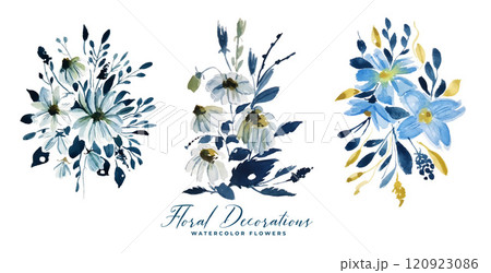 watercolor floral flower decoration collection 120923086