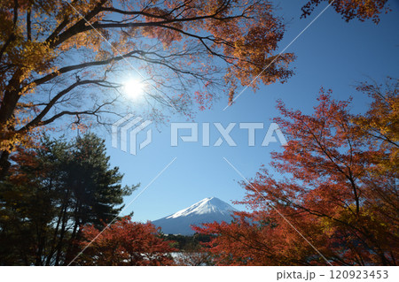 紅葉した秋の河口湖畔の風景 120923453