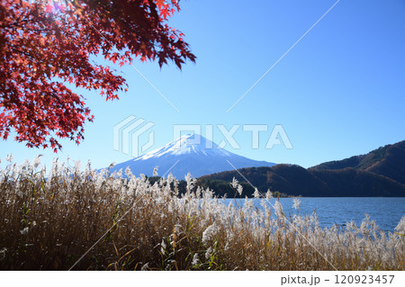 紅葉した秋の河口湖畔の風景 紅葉した秋の河口湖畔の風景 120923457