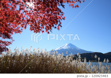 紅葉した秋の河口湖畔の風景 紅葉した秋の河口湖畔の風景 120923463