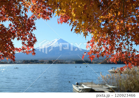 紅葉した秋の河口湖畔の風景 紅葉した秋の河口湖畔の風景 120923466