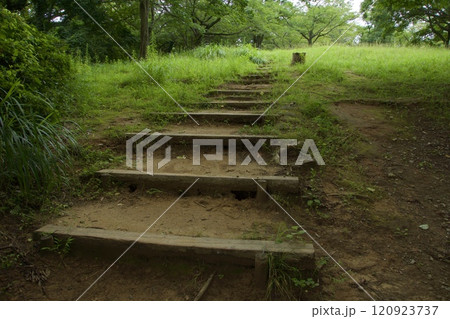 横浜市戸塚区 舞岡公園の夏の風景 横浜市戸塚区 舞岡公園の夏の風景 120923737
