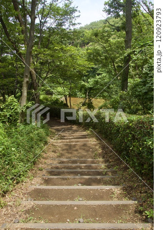 横浜市戸塚区　舞岡公園の夏の風景 120923793