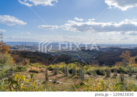 三好山の山頂から見た景色（摂津峡公園） 120923830