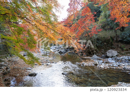 摂津峡(摂津峡公園) 摂津峡(摂津峡公園) 120923834