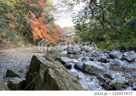 摂津峡（摂津峡公園） 120923837