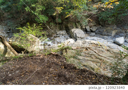 摂津峡の八畳岩（摂津峡公園） 120923840
