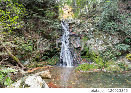 白滝（摂津峡公園） 120923846
