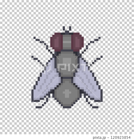 Pixel illustration of a fly 120923854