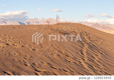 The Flat Sand Dunes 120923959