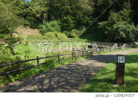 小菅ケ谷北公園 バーベキュー場 小菅ケ谷北公園 バーベキュー場 120924357