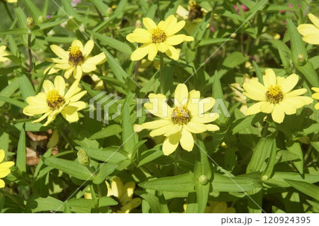 小菅ケ谷北公園　バーベキュー場 120924395