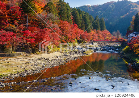川面に映る紅葉　愛知県の紅葉名所　香嵐渓 120924406