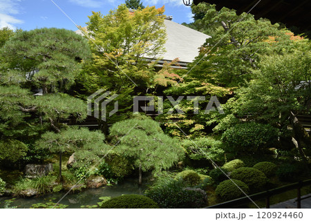 夏の総本山禅林寺 釈迦堂から見る庭園(京都市左京区) 夏の総本山禅林寺 釈迦堂から見る庭園(京都市左京区) 120924460