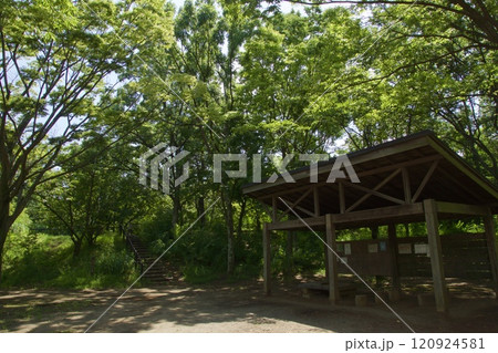 横浜市戸塚区 舞岡公園の夏の風景 横浜市戸塚区 舞岡公園の夏の風景 120924581
