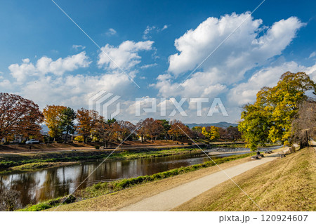 初冬の賀茂川風景 京都市 初冬の賀茂川風景 京都市 120924607