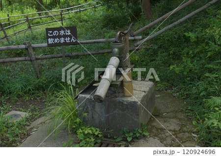 横浜市戸塚区 舞岡公園の夏の風景 横浜市戸塚区 舞岡公園の夏の風景 120924696