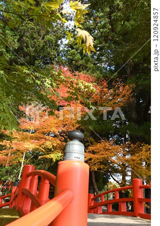 赤い橋と紅葉の光景 120924857