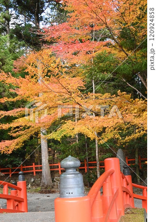赤い橋と紅葉 赤い橋と紅葉 120924858