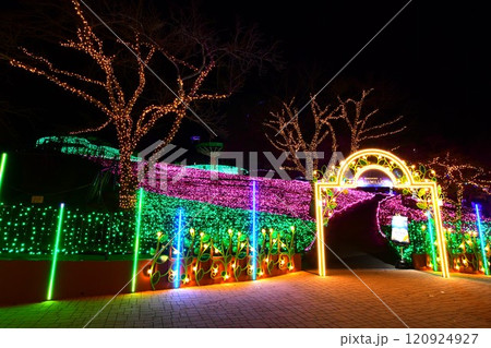 さがみ湖MORIMORIのイルミネーション 120924927