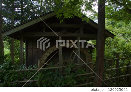 横浜市戸塚区　舞岡公園の夏の風景 120925042