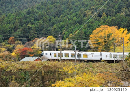 西武秩父線「山間部の紅葉風景を走る特急ラビュー」 西武秩父線「山間部の紅葉風景を走る特急ラビュー」 120925150