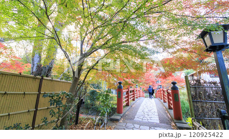 真っ赤な紅葉と橋 120925422