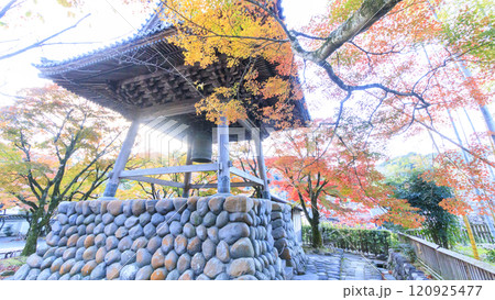 真っ赤な紅葉と橋 120925477