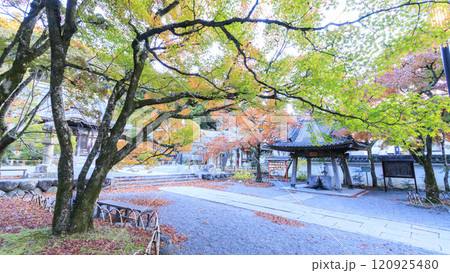 真っ赤な紅葉と橋 120925480