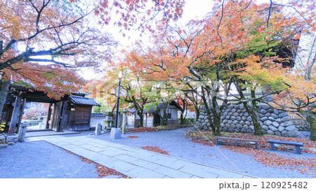 真っ赤な紅葉と橋 真っ赤な紅葉と橋 120925482