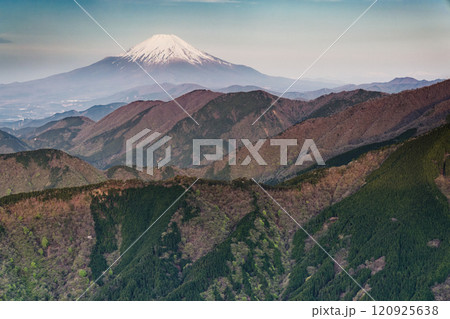 丹沢表尾根・三ノ塔から見る朝の富士山と新緑の山並み 120925638