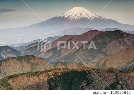 丹沢表尾根・三ノ塔から見る朝の富士山と新緑の山並み 丹沢表尾根・三ノ塔から見る朝の富士山と新緑の山並み 120925639