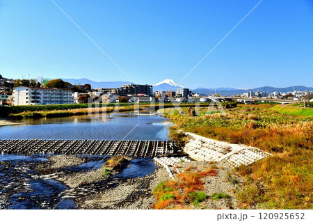 万願寺歩道橋(ふれあい橋)/浅川より上流、高幡橋方向を望む(東京都日野市)【2024.11】 万願寺歩道橋(ふれあい橋)/浅川より上流、高幡橋方向を望む(東京都日野市)【2024.11】 120925652