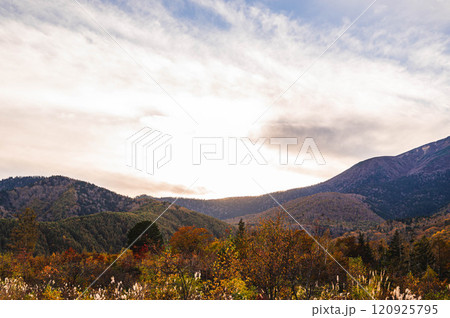 日没頃の乗鞍高原　 120925795