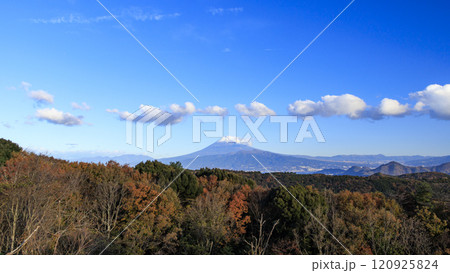 伊豆半島の達磨山から見た富士山 120925824