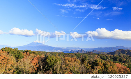 伊豆半島の達磨山から見た富士山 120925827