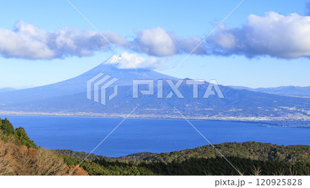 伊豆半島の達磨山から見た富士山 120925828