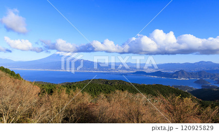 伊豆半島の達磨山から見た富士山 120925829